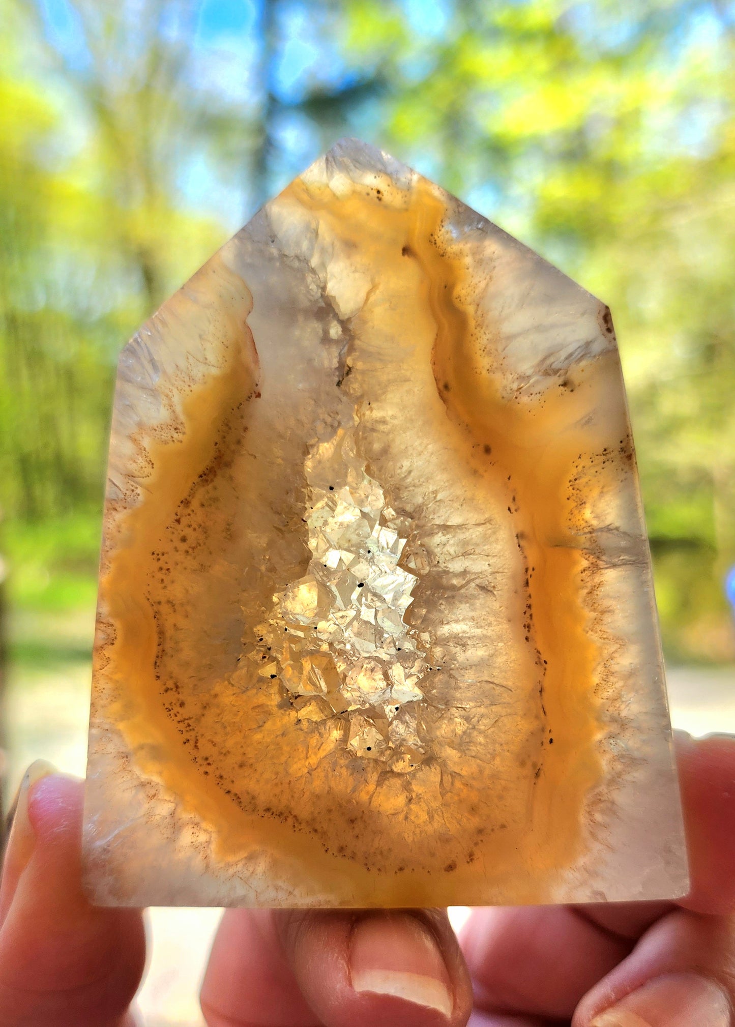 Druzy Agate Geodes with Dendrite