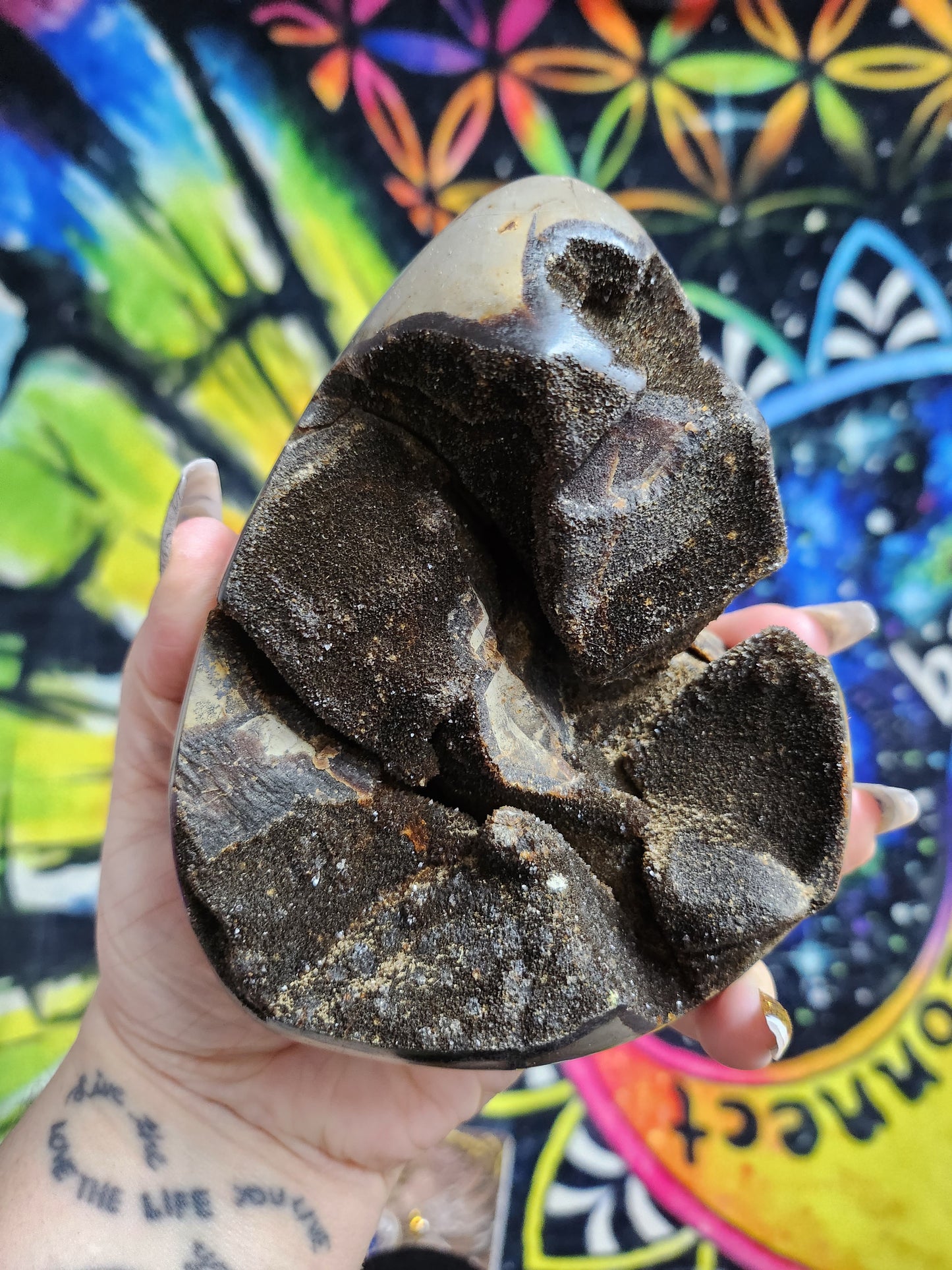 Septarian Freeform