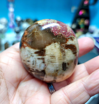 Ocean Jasper Palm Stones