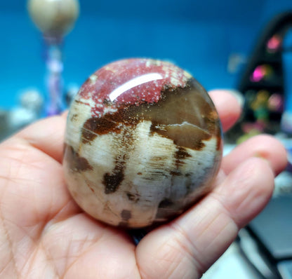 Ocean Jasper Palm Stones