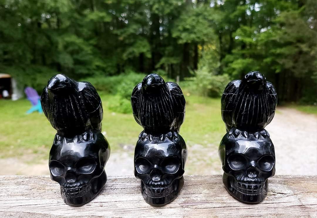 Obsidian Crows on Skulls