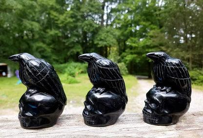 Obsidian Crows on Skulls