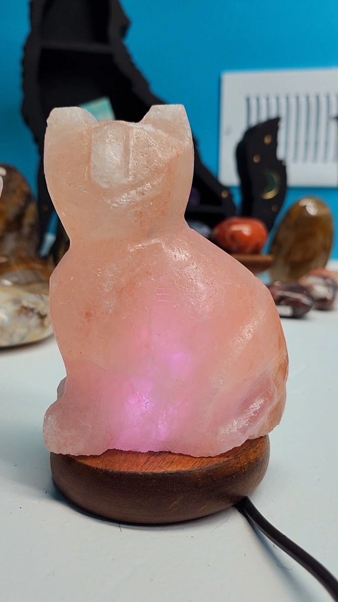 Himalayan Salt Cat Lamp