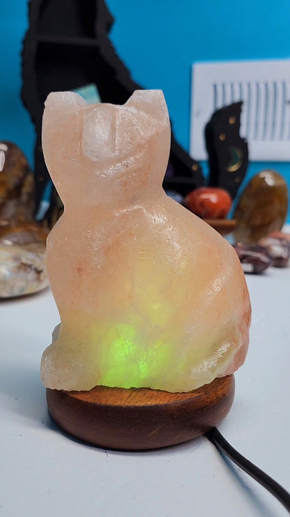 Himalayan Salt Cat Lamp