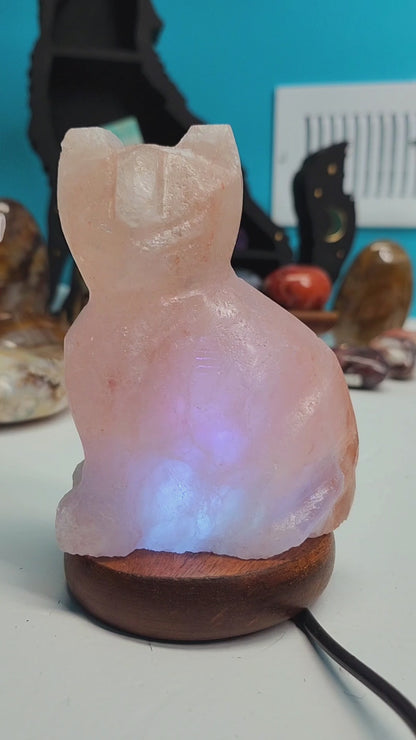 Himalayan Salt Cat Lamp