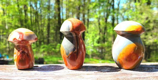 Polychrome Jasper Mushrooms