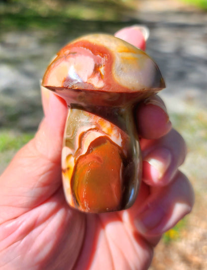 Polychrome Jasper Mushrooms