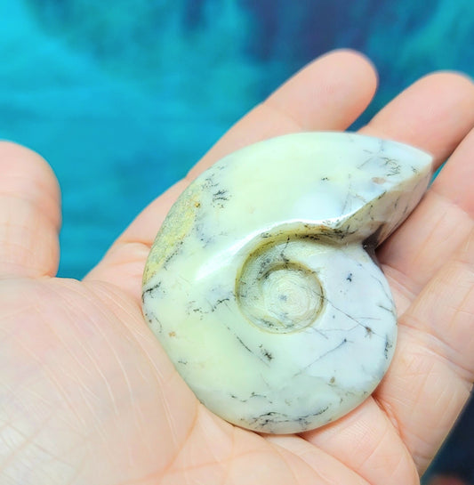 Dendritic Opal Agate Ammonite Carving