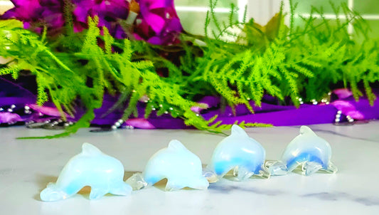 Opalite Dolphin