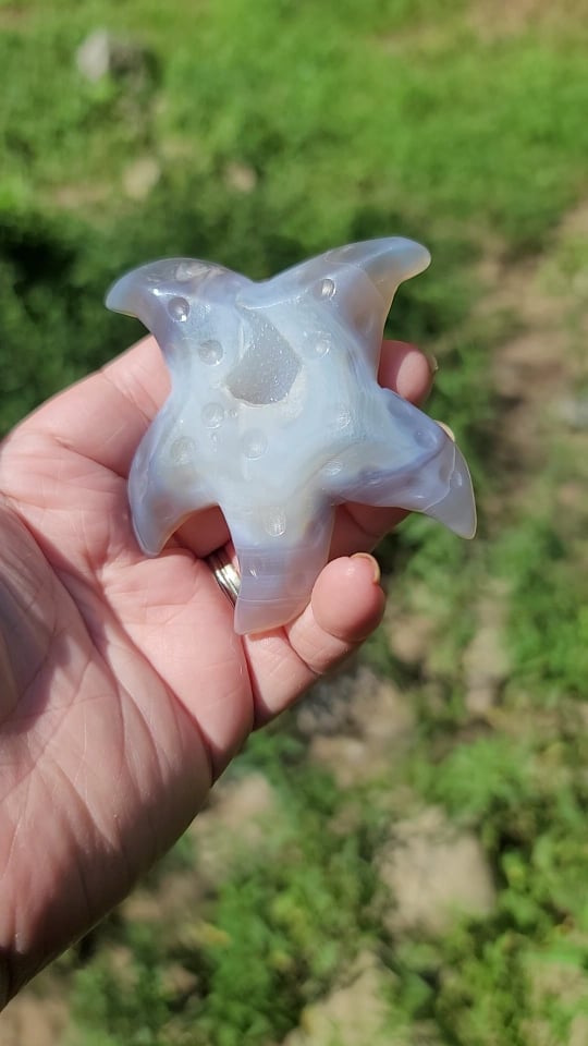 Druzy Agate Starfish